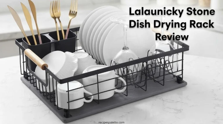 Lalaunicky Stone Dish Drying Rack Review