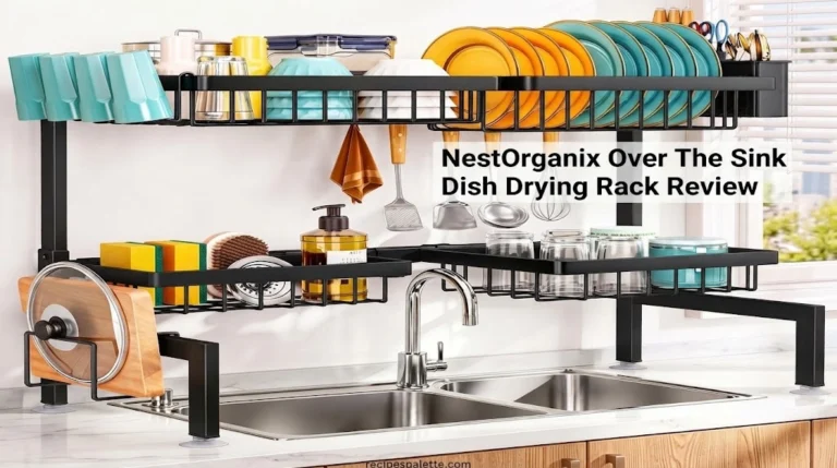 NestOrganix Over The Sink Dish Drying Rack Review