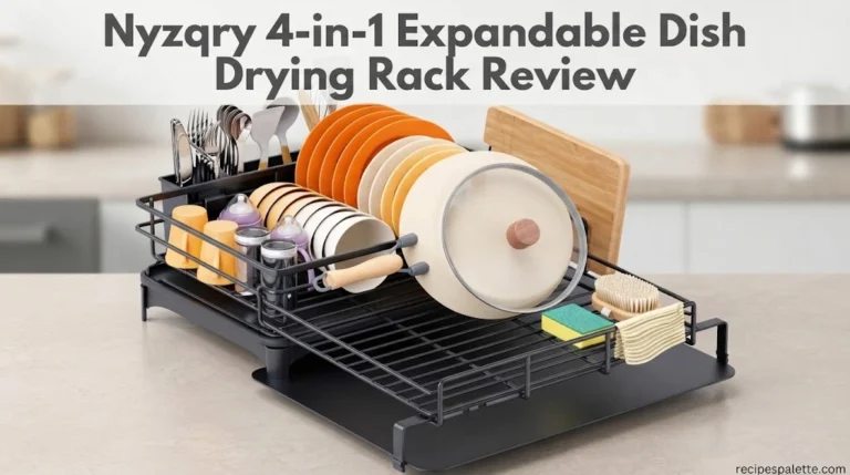 Nyzqry 4-in-1 Expandable Dish Drying Rack Review