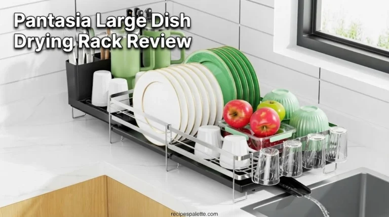 Pantasia Large Dish Drying Rack Review