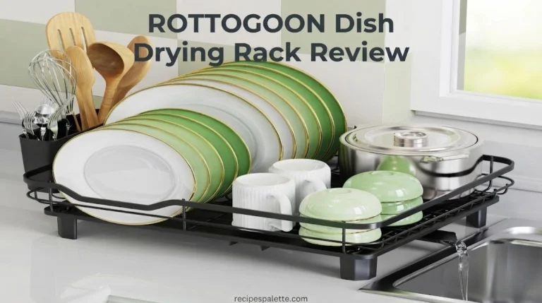 ROTTOGOON Dish Drying Rack Review