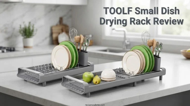 TOOLF Small Dish Drying Rack Review