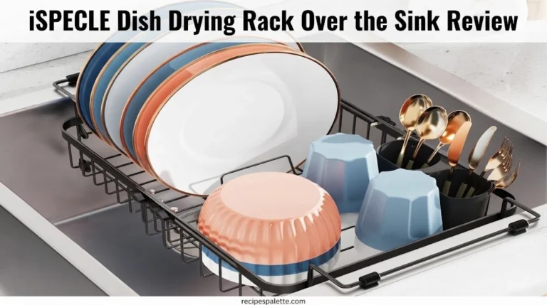 iSPECLE Dish Drying Rack Over the Sink Review